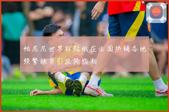 帕尼尼世界杯贴纸在法国热销各地频繁缺货引发抢购潮