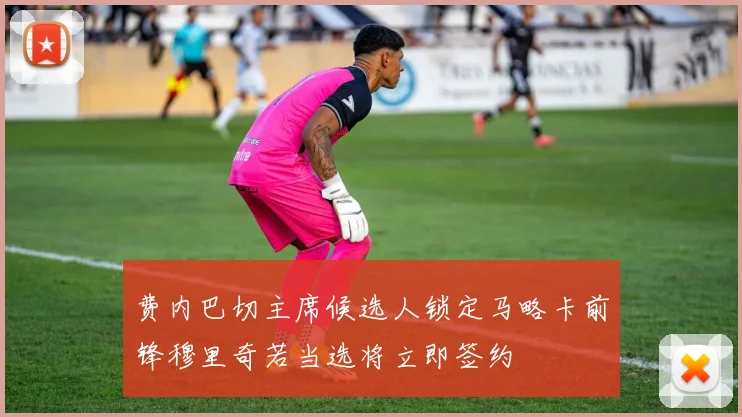 费内巴切主席候选人锁定马略卡前锋穆里奇若当选将立即签约